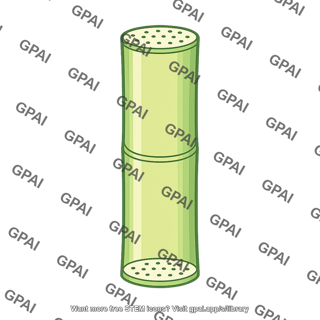 Sieve tube element