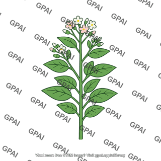 South american temperate plant