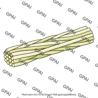 Cellulose microfibril