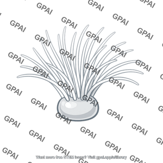 Olfactory receptor cilia