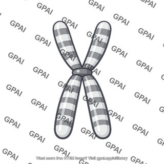 Chromosome