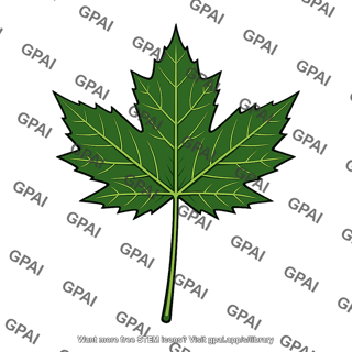 Maple tree leaf