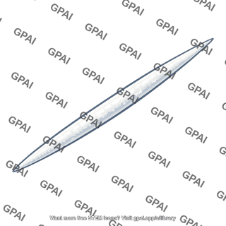 Spicule calcium carbonate