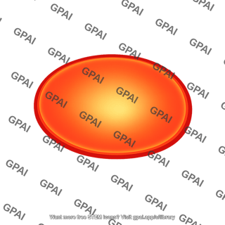 Nucleus fluorescently labeled
