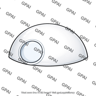 Sclera