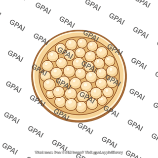 Coccidioides spherule