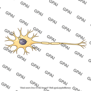 Afferent neuron multipolar variant