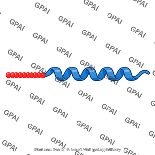 Signal peptide