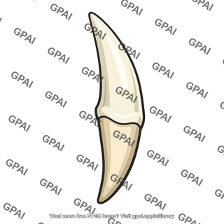 Carnivore tooth
