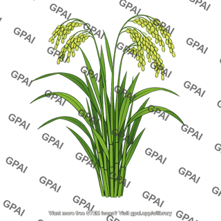 Rice plant