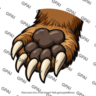 Front paw