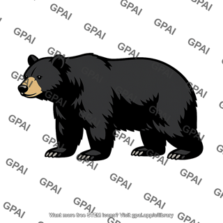 Black bear