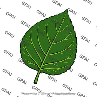 Leaf older