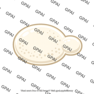 Saccharomyces cerevisiae cell