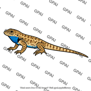 Common side blotched lizard male