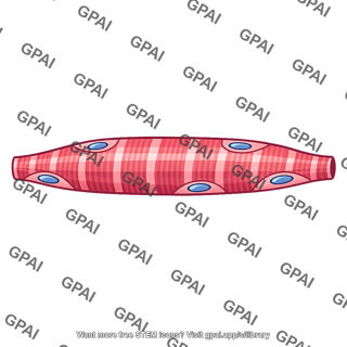 Muscle cell leg