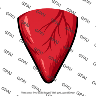 Heart apex