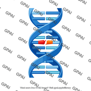Apc allele mutated