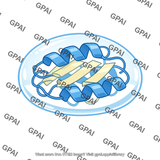 Transparent protein envelope