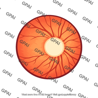 Optic disk