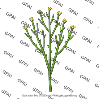 Psilotum nudum