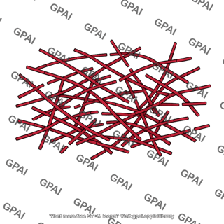 Cytoskeleton disorganized
