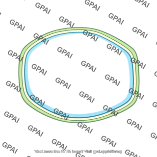 Central vacuole