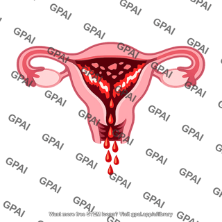 Menstruation