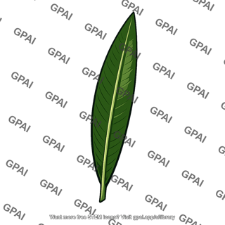 Oleander leaf