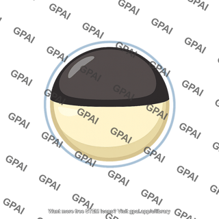 Pigmented amphibian egg