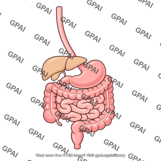 Vertebrate digestive system