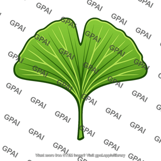 Ginkgo tree leaf