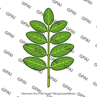 Legume leaf