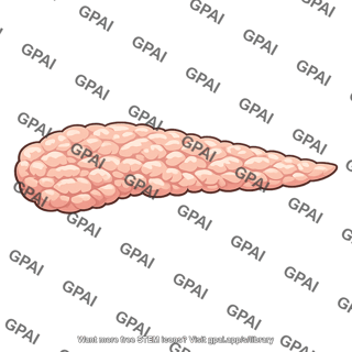 Animal pancreas