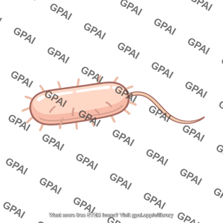 Intestinal bacterium