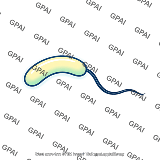 Vibrio bacterium bioluminescent