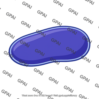 Macronucleus ciliate