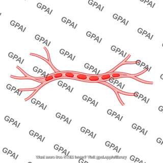 Capillary