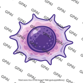 Prostate cancer cell