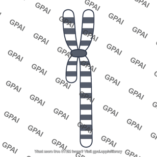 Banded chromosome