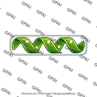 Algal cell spirogyra crassa