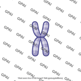 Chromosome