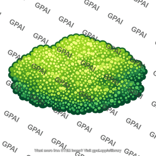 Phytoplankton bloom