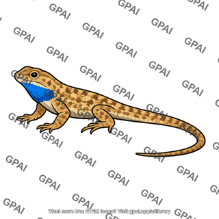 Common side blotched lizard male blue throat
