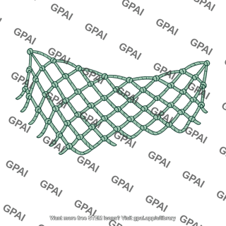 Fishing net