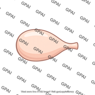 Ampulla