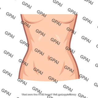 Waist