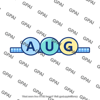 Mrna codon aug