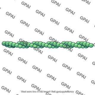 Actin like protein filament