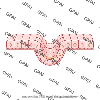 Tissue invaginating